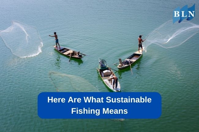 Here Are What Sustainable Fishing Means